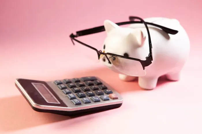 Budgeting IT for the year ahead