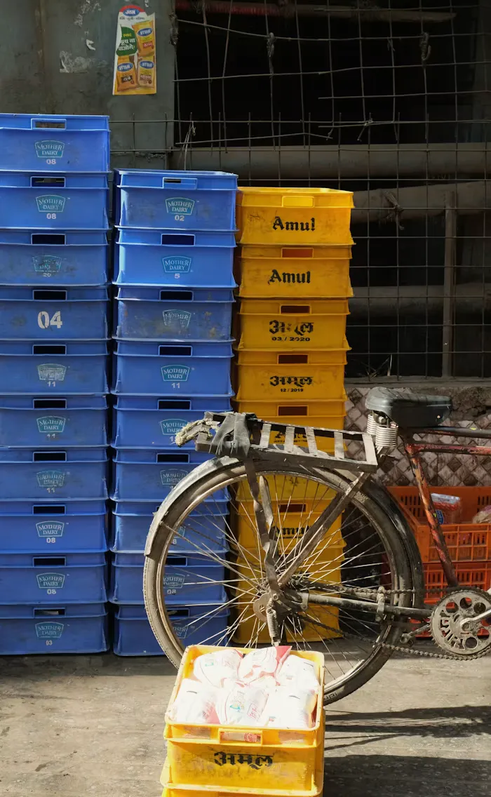 Choosing a warehouse management system in India